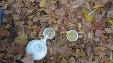 秋季秋叶立杯中的白瓷铁壶绿茶近景